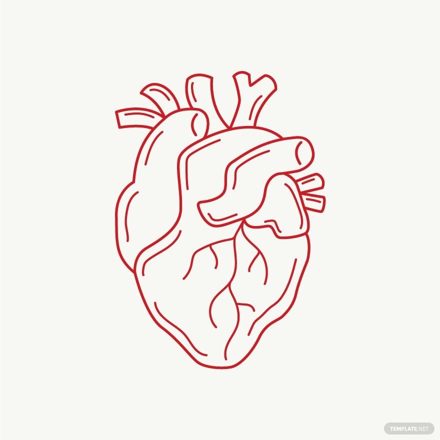 Free Real Heart Outline Vector