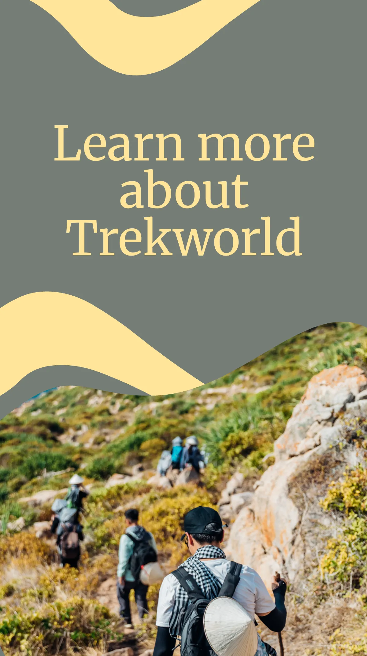 Free Get To Know My Blog Instagram Story Template to Edit Online