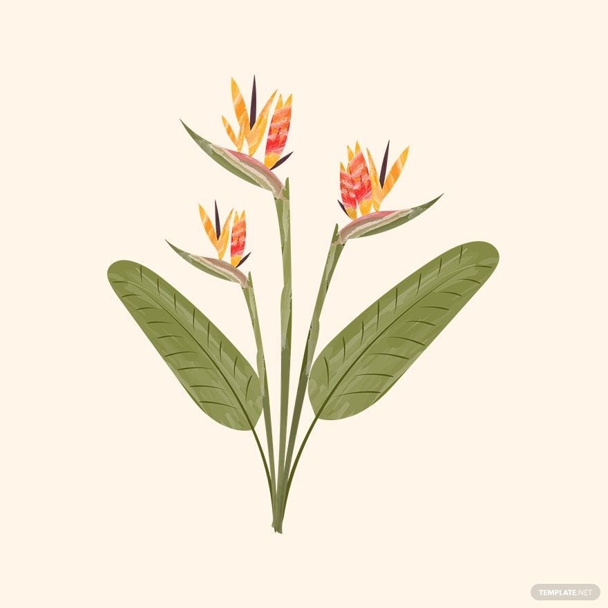 Free Watercolor Tropical Floral Vector