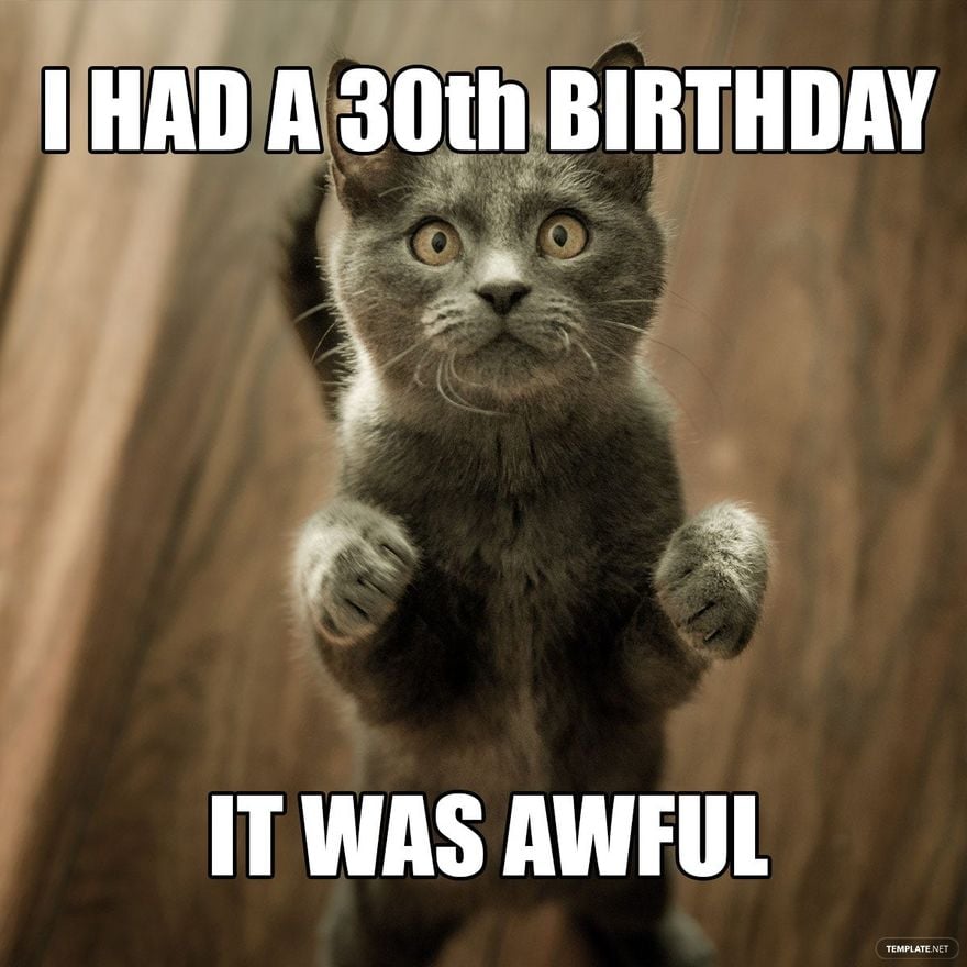 Free Happy 30th Birthday Meme - GIF, Illustrator, JPG, PSD, PNG |  