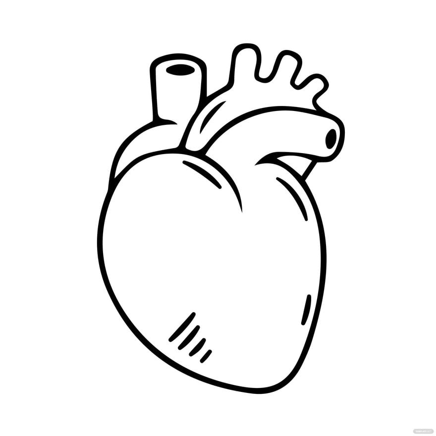 Free Human Heart Clipart Black and White