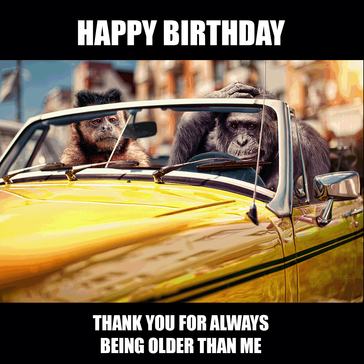 Happy Birthday Best Friend Meme in Illustrator, PSD, JPG, GIF, PNG - Download | Template.net