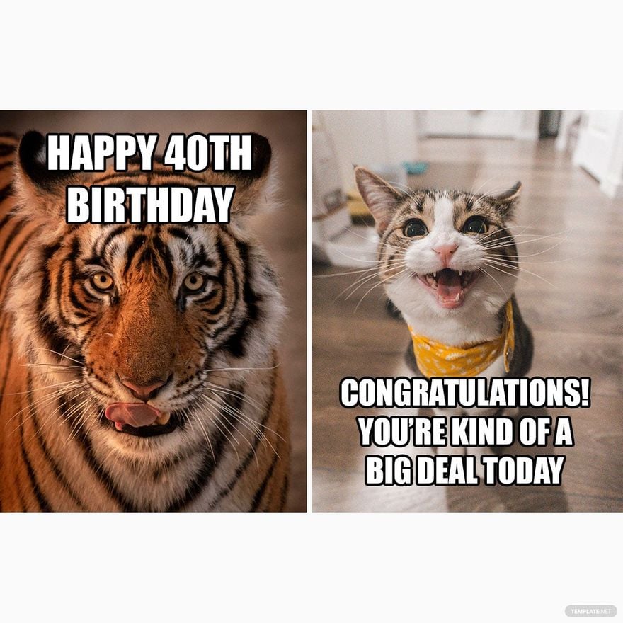 Free Happy 40th Birthday Meme in Illustrator, PSD, JPG, GIF, PNG