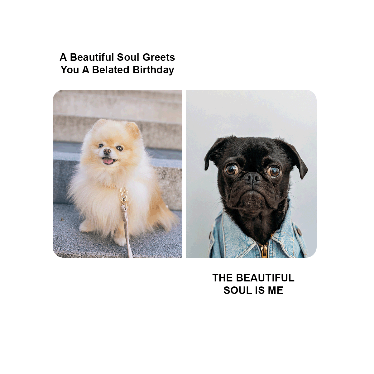 Happy Belated Birthday Meme in Illustrator, PSD, JPG, GIF, PNG