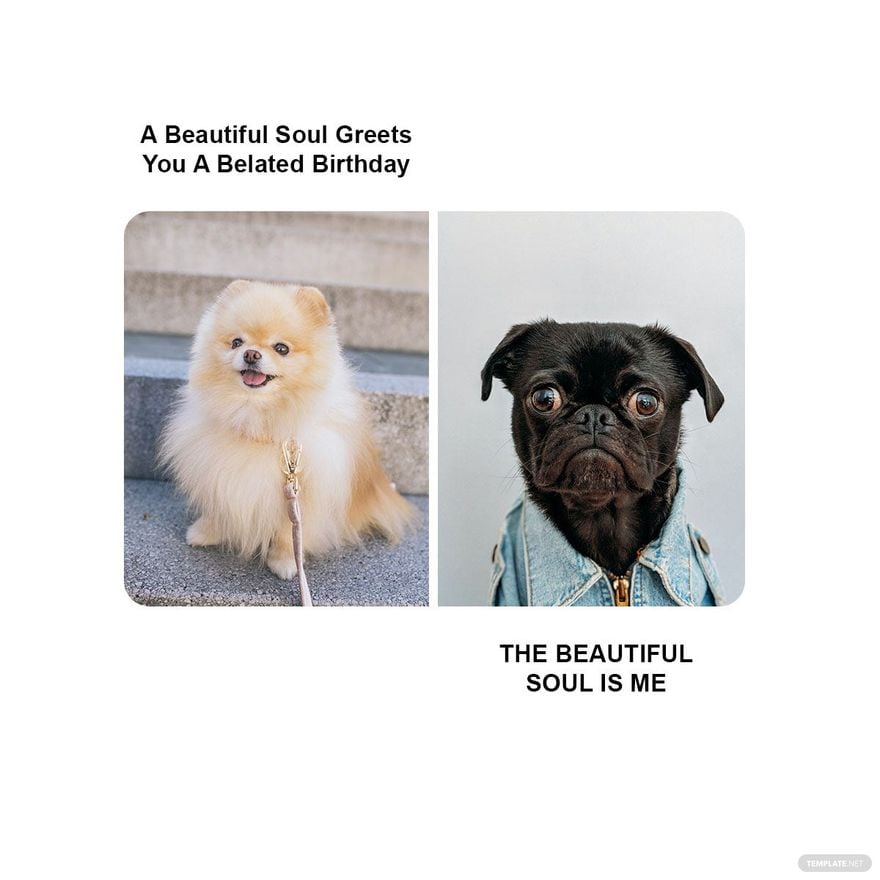 Free Happy Belated Birthday Meme