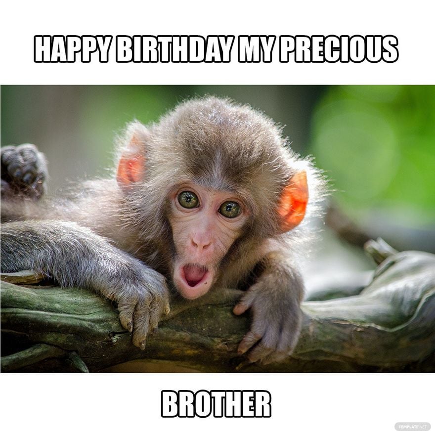 Free Happy Birthday Brother Meme - Download in Illustrator, PSD, JPG, GIF, PNG