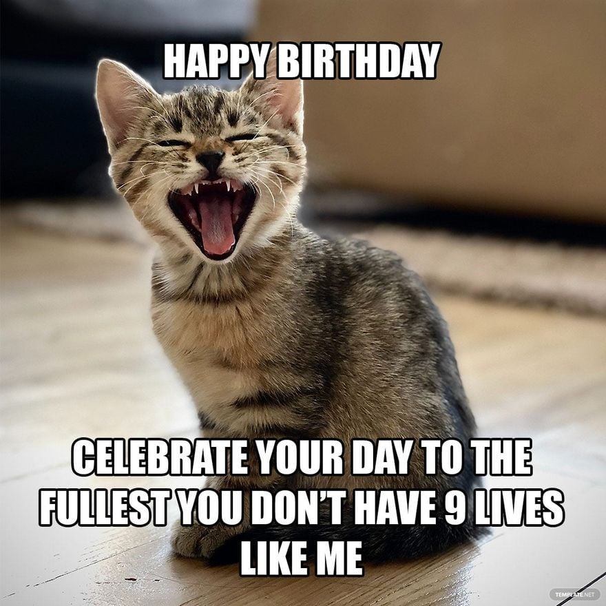 Free Happy Birthday Cat Meme - GIF, Illustrator, JPG, PSD, PNG |  
