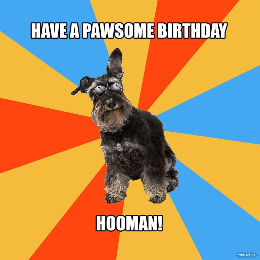 Free Happy Birthday Dog Meme