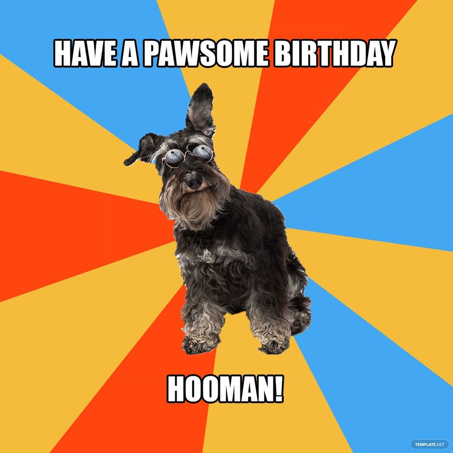 Free Dog Happy Birthday Meme GIF, Illustrator, JPG, PSD, PNG