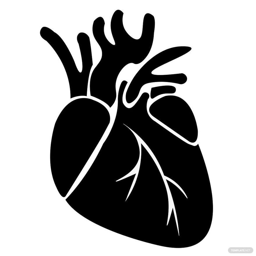Free Human Heart Silhouette in Illustrator, PSD, EPS, SVG, JPG, PNG