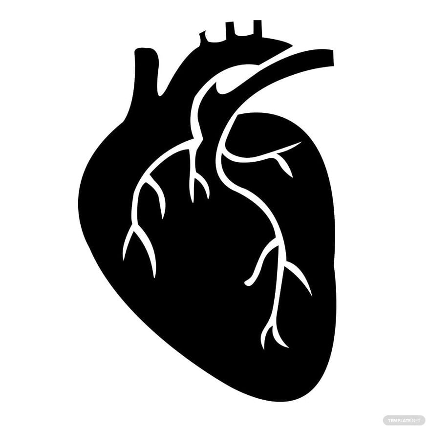 Anatomical Heart Silhouette in Illustrator, PSD, EPS, SVG, JPG, PNG