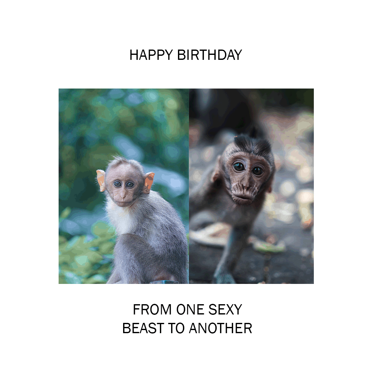Happy Birthday Meme For Him in JPG, GIF, PNG, Illustrator, PSD - Download | Template.net