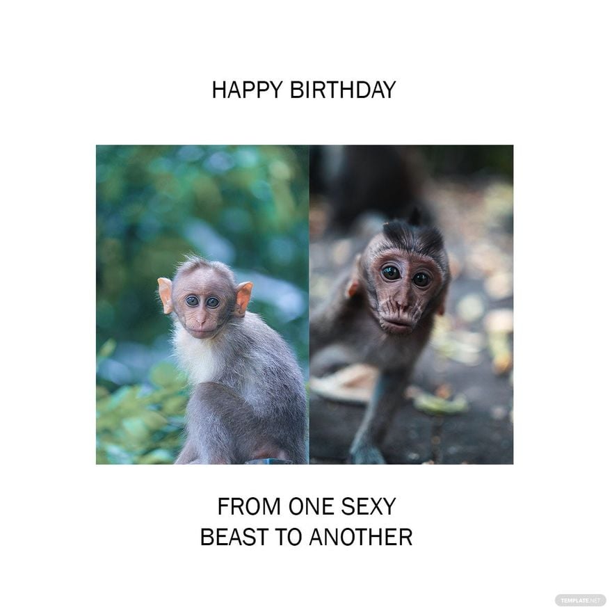 Free Happy Birthday Funny Meme For Him - GIF, Illustrator, JPG, PSD, PNG |  