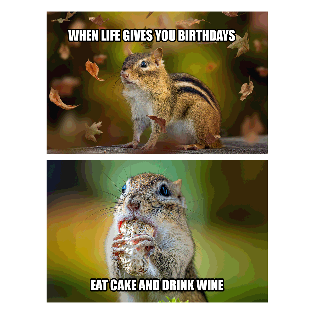 Cute Happy Birthday Meme in JPG, GIF, PNG, Illustrator, PSD - Download | Template.net