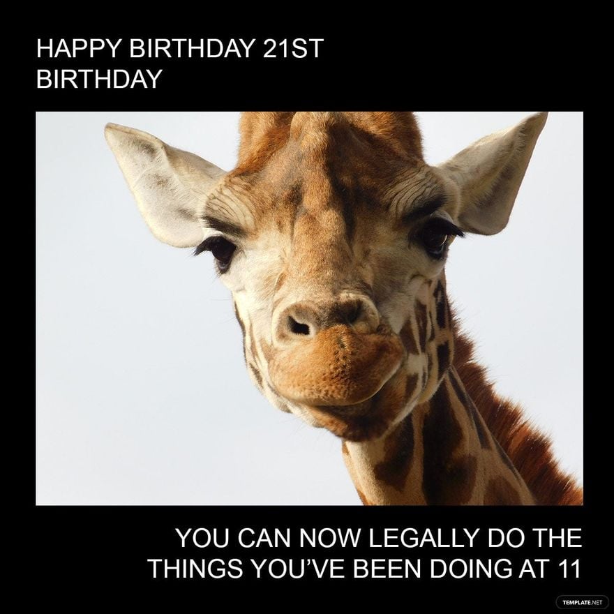 Free Happy 21st Birthday Meme - Download in Illustrator, PSD, JPG, GIF, PNG