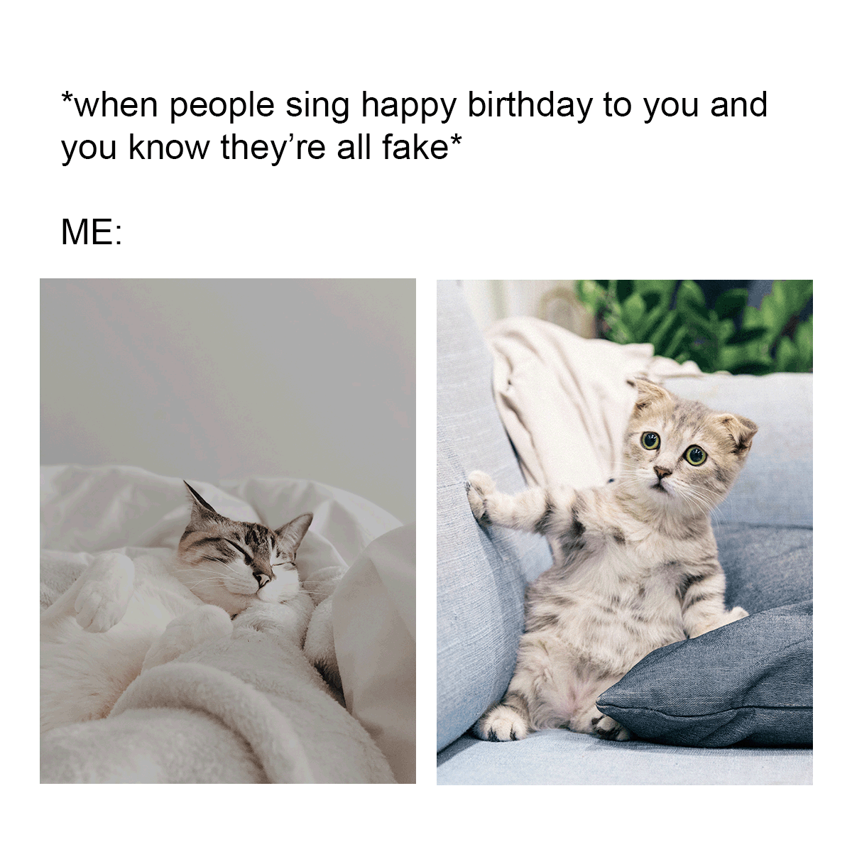 Happy Birthday To Me Meme in JPG, GIF, PNG, Illustrator, PSD - Download | Template.net