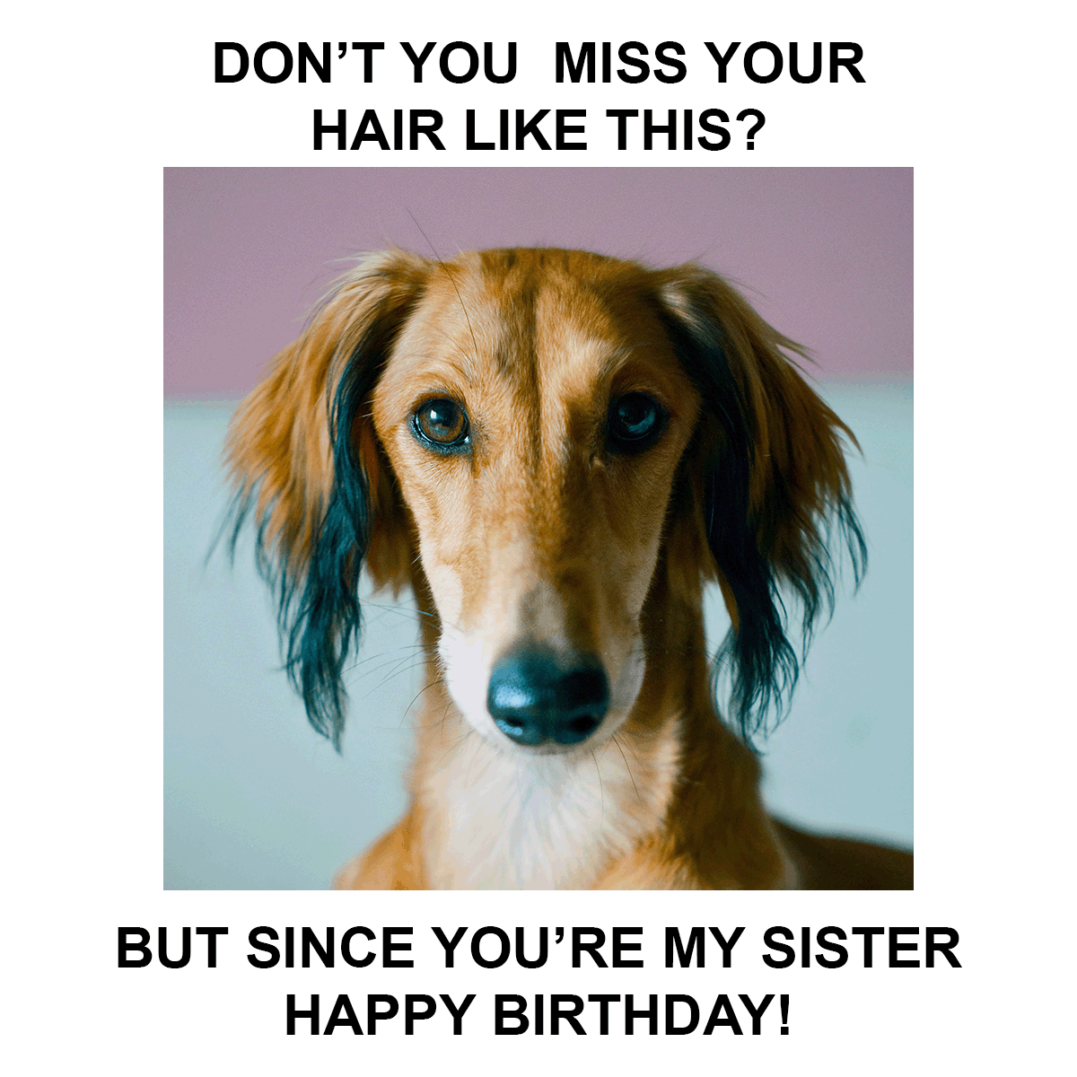 Happy Birthday Sister Funny Meme in JPG, GIF, PNG, Illustrator, PSD - Download | Template.net