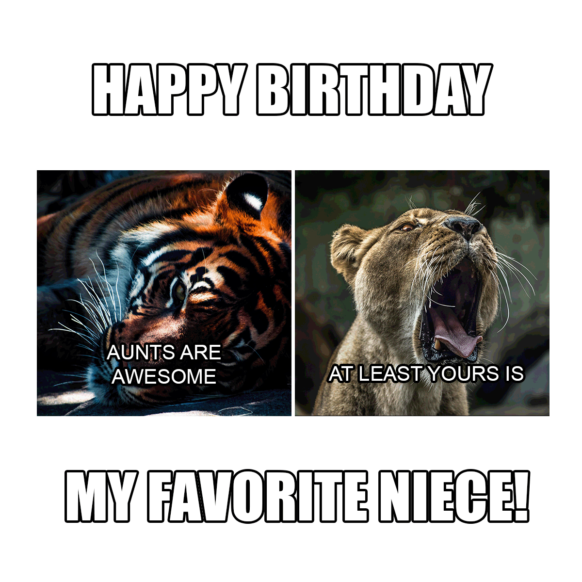 Happy Birthday Niece Meme in Illustrator, PSD, JPG, GIF, PNG