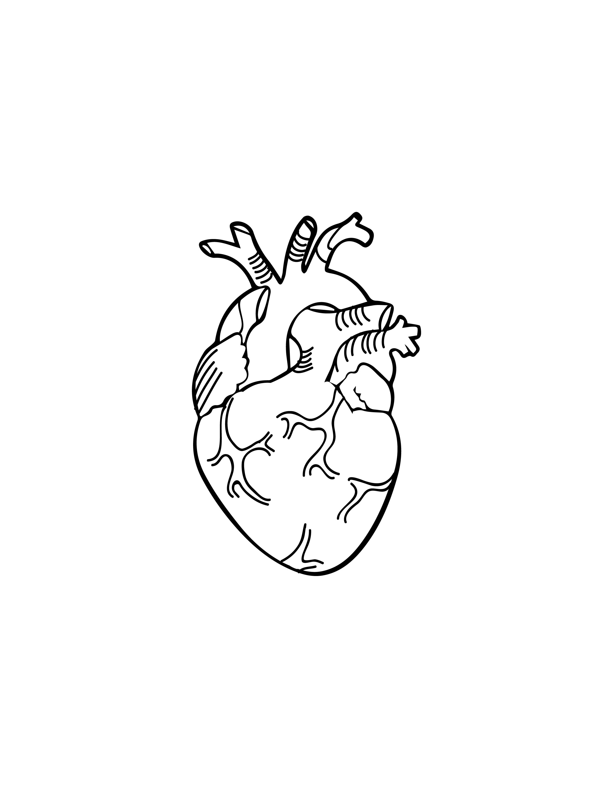 Free Red Heart Line Drawing Illustrator, PDF