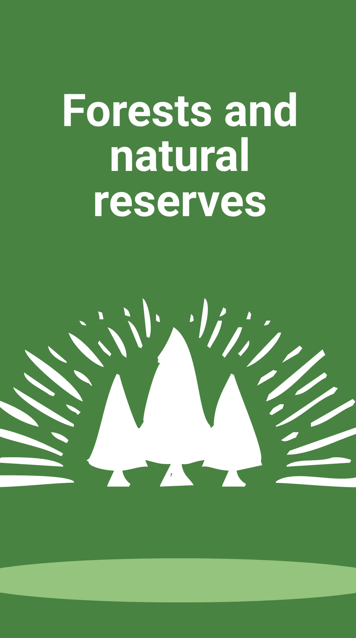 Free Environment Protection Instagram Story Template to Edit Online