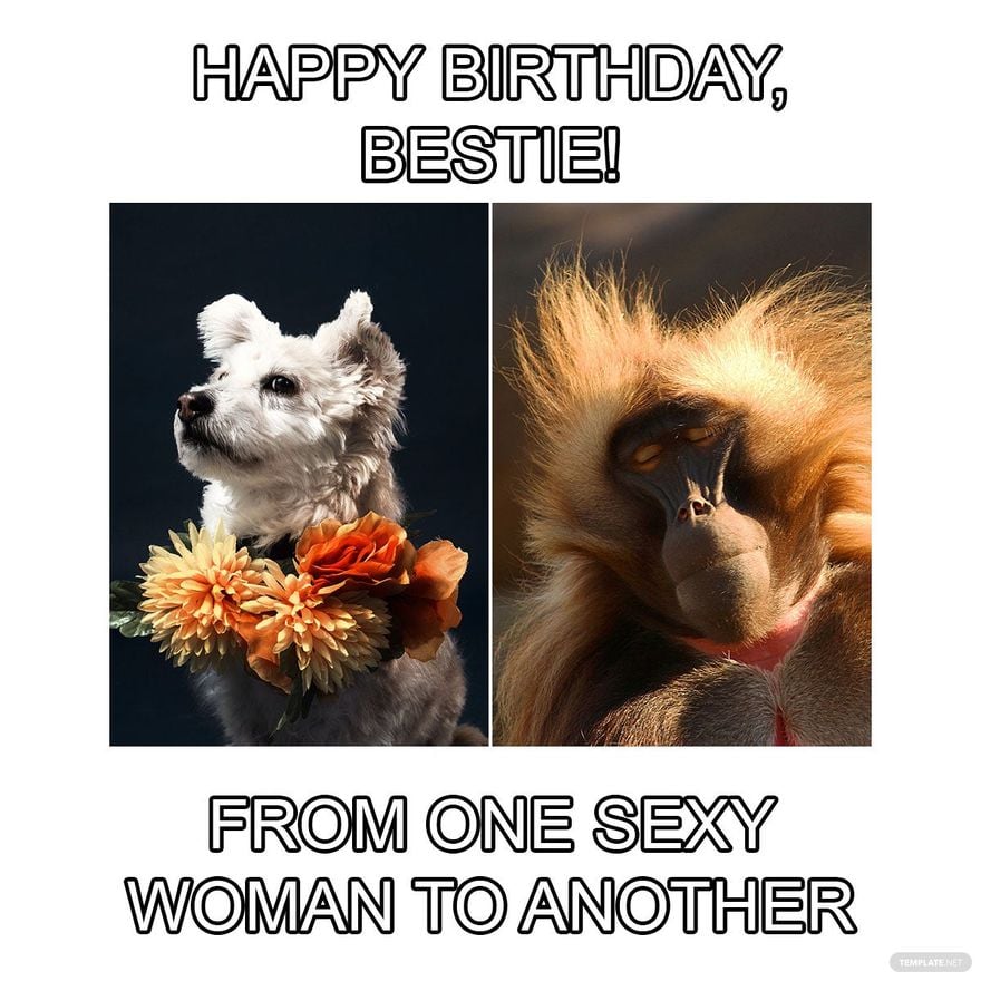 Free Happy Birthday Bestie Meme in Illustrator, PSD, JPG, GIF, PNG