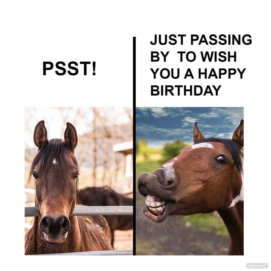 Free Happy Birthday Horse Meme in Illustrator, PSD, JPG, GIF, PNG