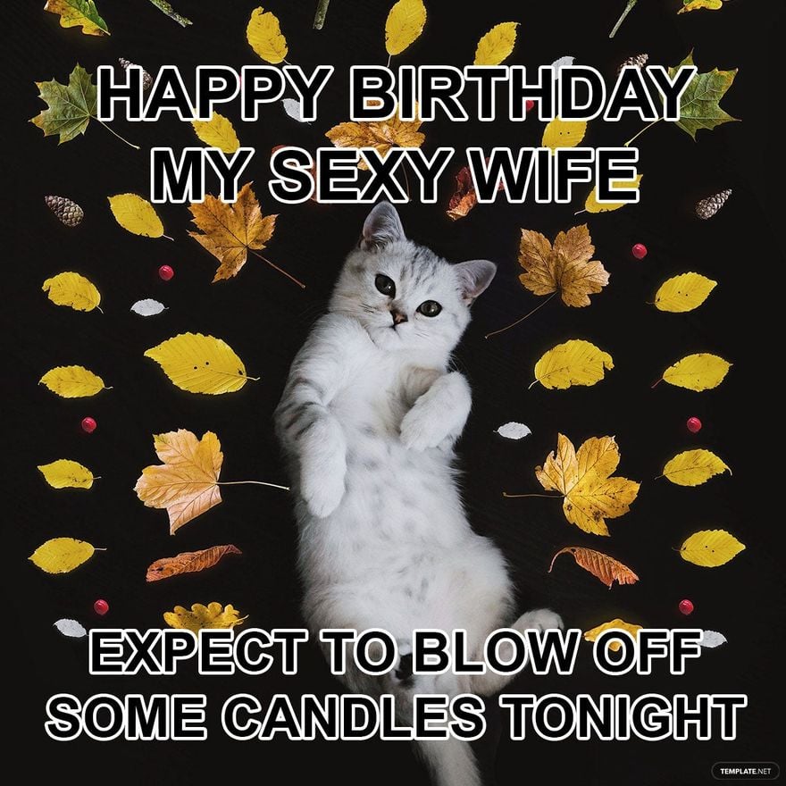 Free Happy Birthday Wife Meme in Illustrator, PSD, JPG, GIF, PNG