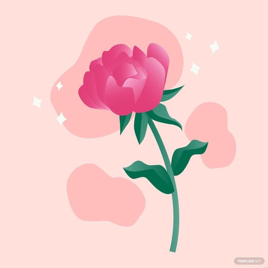 Free Peony Flower Illustration