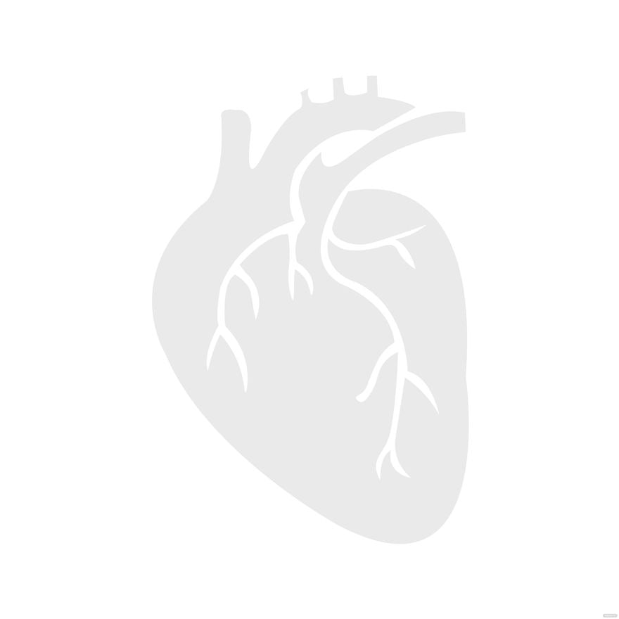 Transparent Human Heart Silhouette
