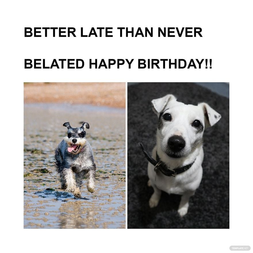 Free Happy Late Birthday Meme - Download in Illustrator, PSD, JPG, GIF, PNG