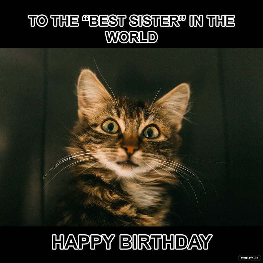 Free Sarcastic Happy Birthday Meme - Download in Illustrator, PSD, JPG, GIF, PNG
