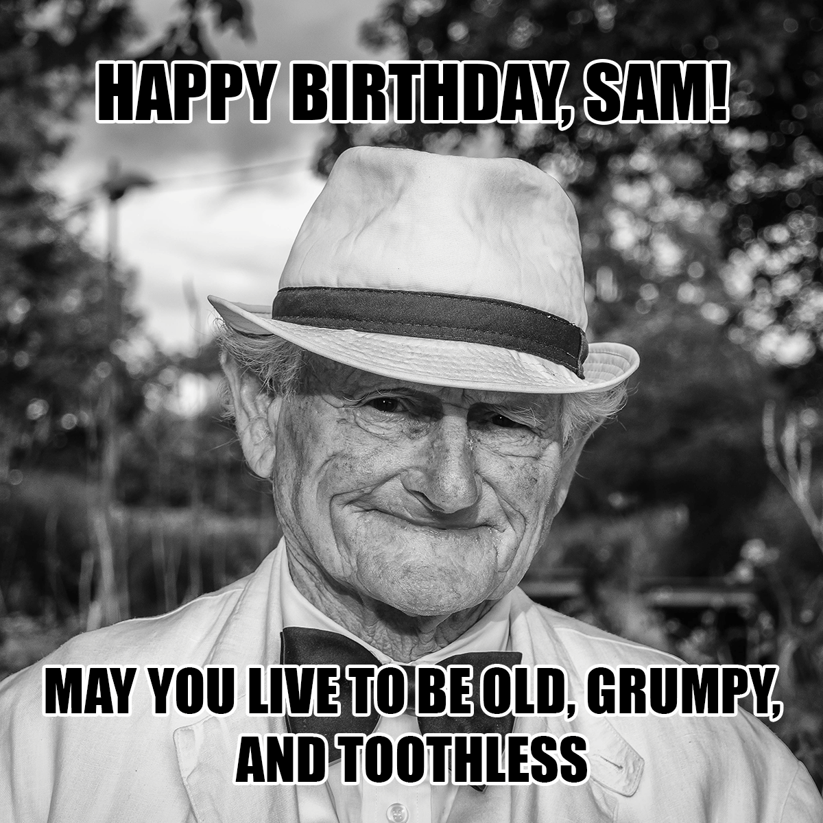 Birthday Greetings Meme in Illustrator, PSD, JPG, GIF, PNG