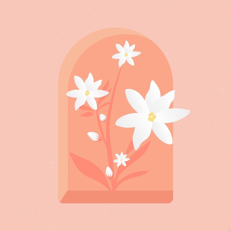 Free Jasmine Flower Illustration