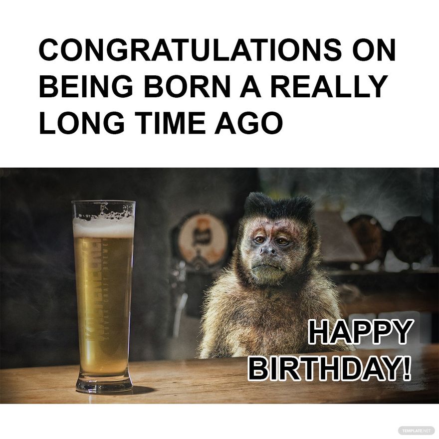 Beer Happy Birthday Meme Beer Birthday Gif DAEB