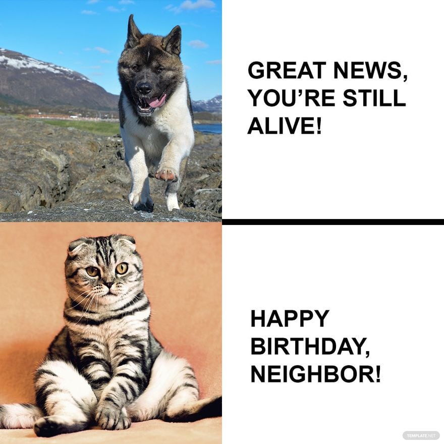 Free Happy Birthday Neighbor Meme in Illustrator, PSD, JPG, GIF, PNG