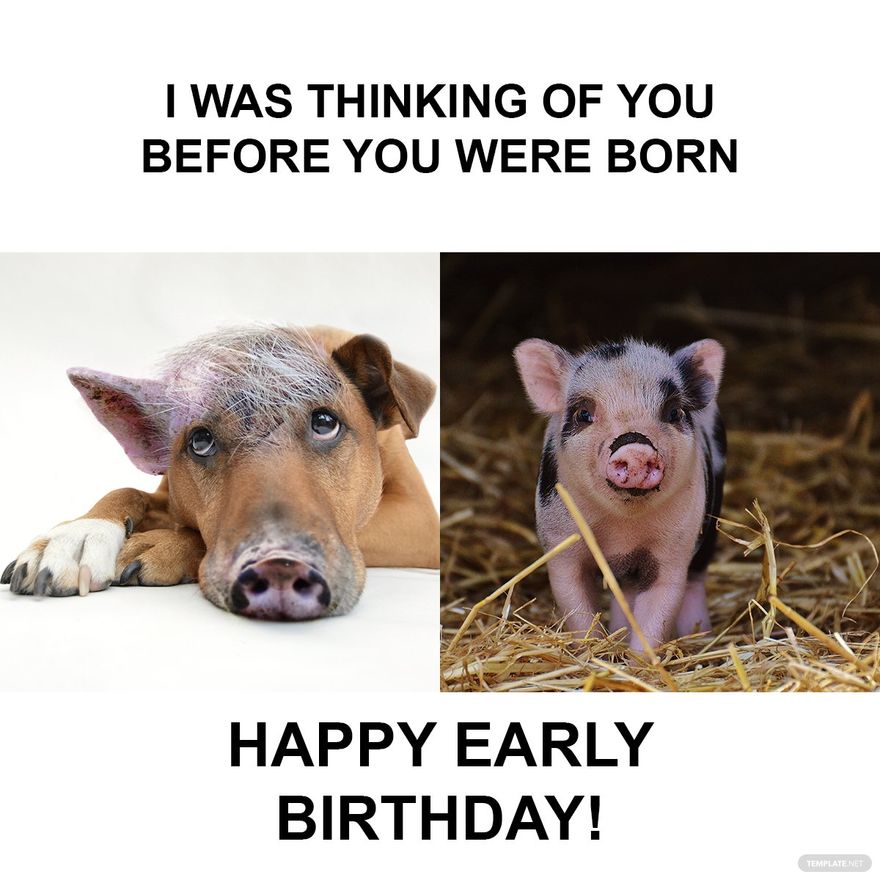Free Happy Early Birthday Meme in Illustrator, PSD, JPG, GIF, PNG