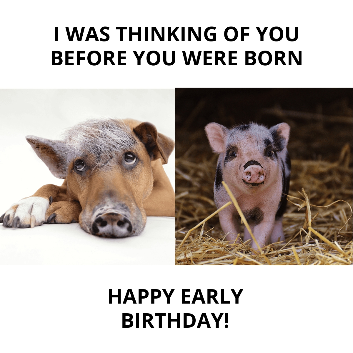 Happy Early Birthday Meme Template - Edit Online & Download Example |  Template.net