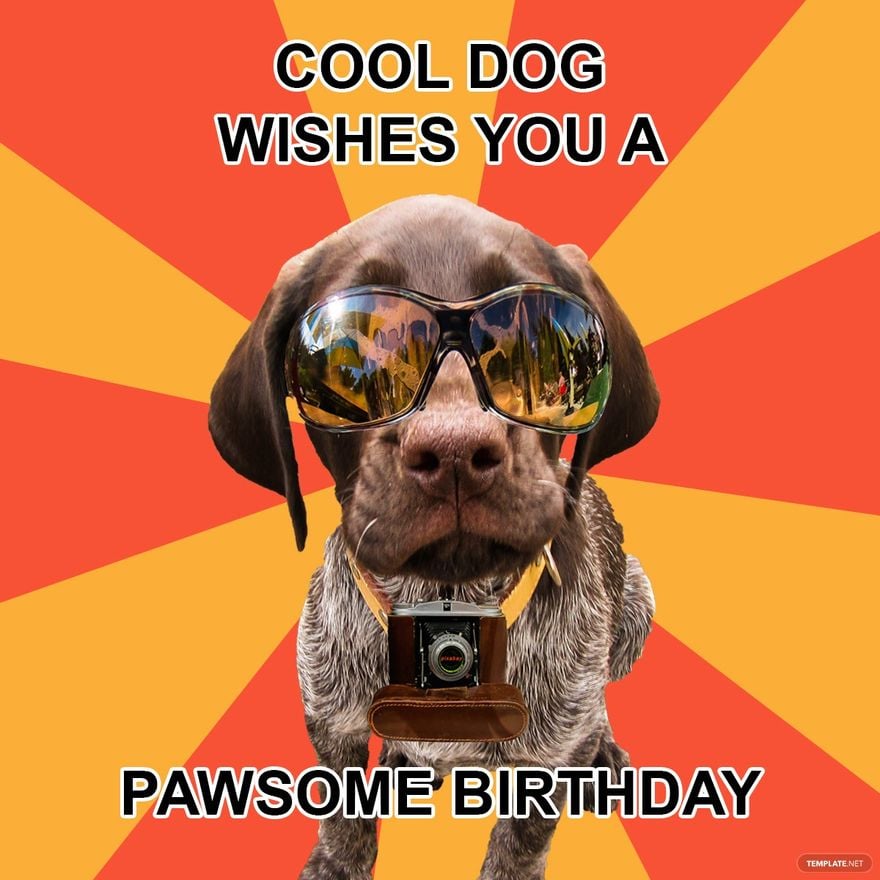 Free Animal Happy Birthday Meme - GIF, Illustrator, JPG, PSD, PNG |  