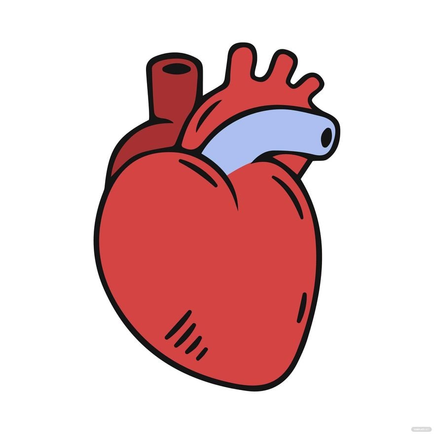 Healthy Human Heart Clipart in Illustrator, EPS, SVG, JPG, PNG