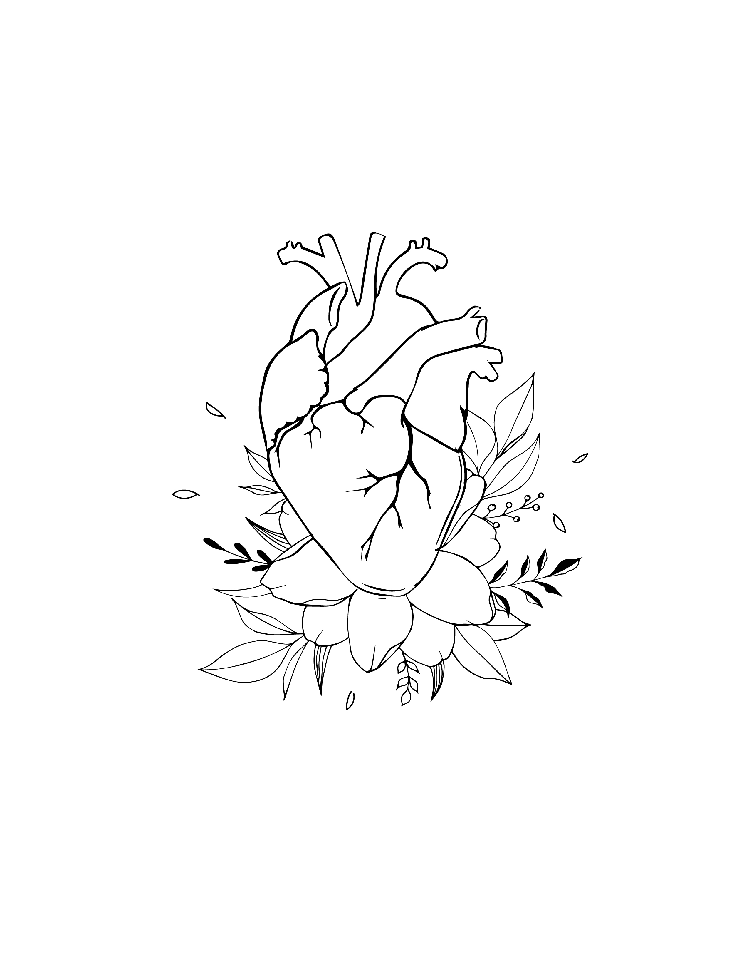 FREE Anatomical Heart Template - Download in PDF, Illustrator ...