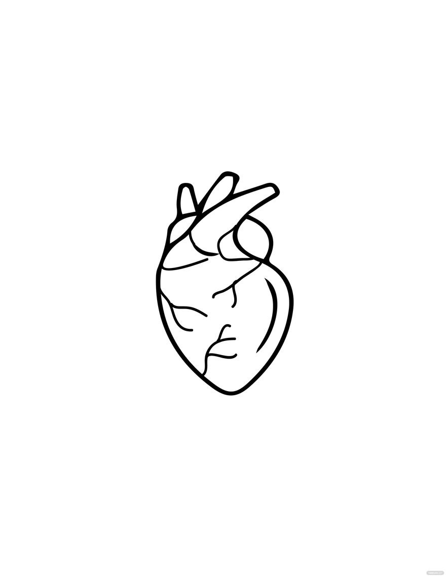 Free Simple Anatomical Heart Drawing