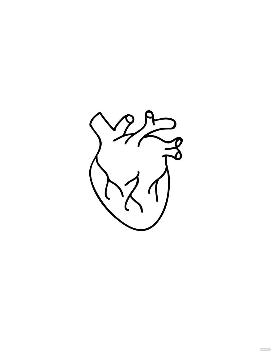 Free Anatomical Heart Drawing Easy