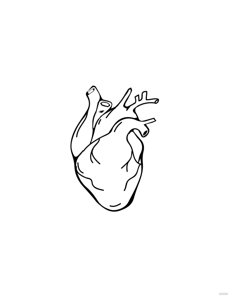 Free Real Human Heart Drawing