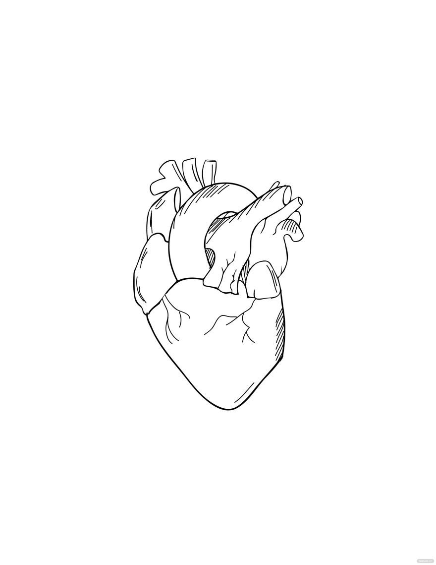 real heart sketches in pencil