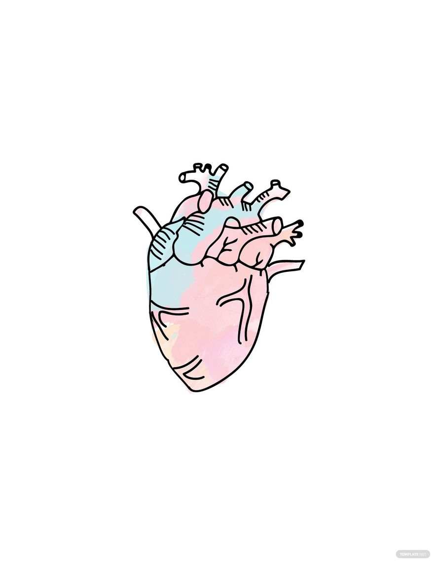 Free Watercolor Human Heart Drawing in PDF, Illustrator