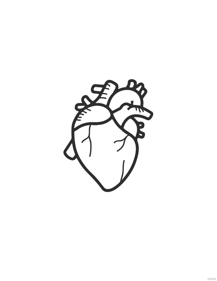 Free Human Heart Drawing For Kids