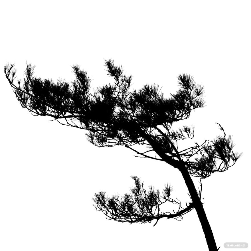 Black and White Pine Tree Silhouette