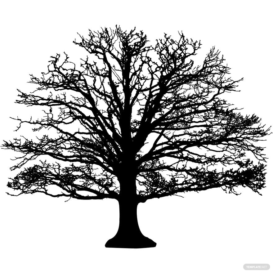 Leafless Oak Tree Silhouette in Illustrator, PSD, EPS, SVG, JPG, PNG