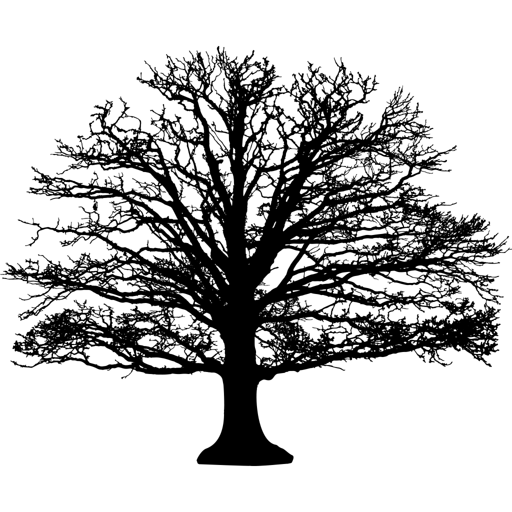 Free Oak Tree Silhouette Download in Illustrator, PSD, EPS, SVG, JPG