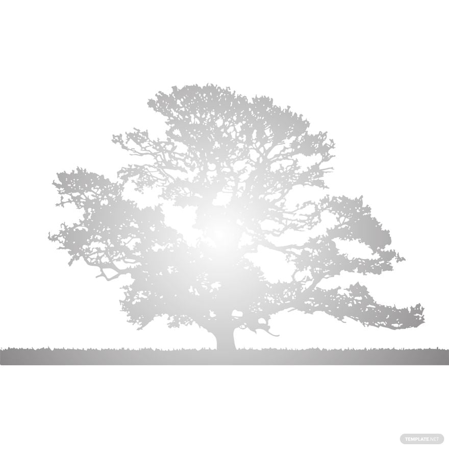 Transparent Oak Tree Silhouette